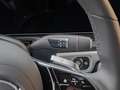 Mercedes-Benz G 450 d PROFFESSIONAL/MLB/Technik/SHD/AHK/Burm Grau - thumbnail 16