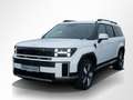 Hyundai SANTA FE SIGNATURE LEDER 360° NAVI LED SHZ LHZ Alb - thumbnail 11
