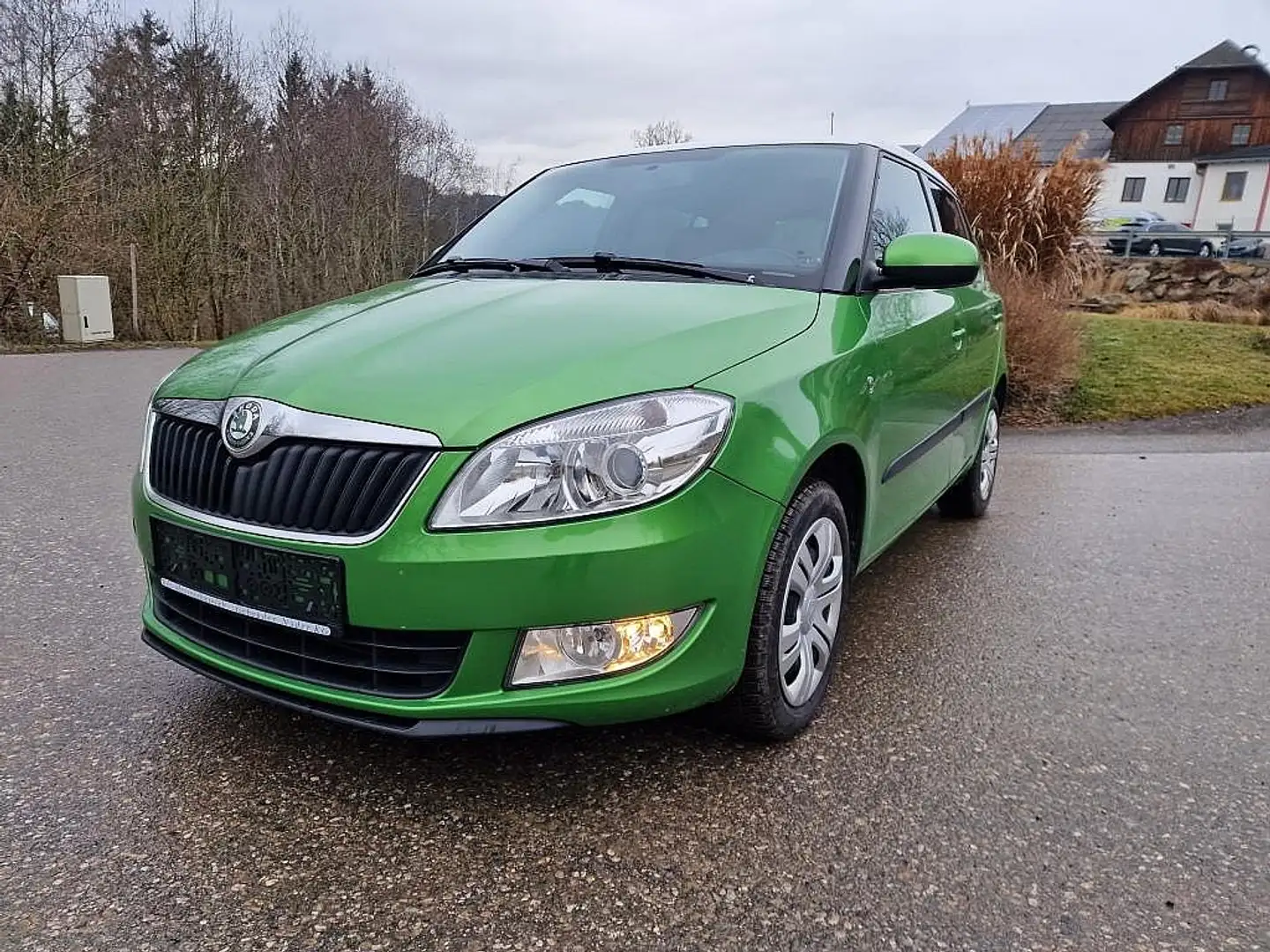 Skoda Fabia Ambiente Elegance 1,6 TDI Sitzh. Mittelarmlehne Grün - 1