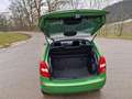 Skoda Fabia Ambiente Elegance 1,6 TDI Sitzh. Mittelarmlehne Grün - thumbnail 24