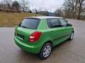 Skoda Fabia Ambiente Elegance 1,6 TDI Sitzh. Mittelarmlehne Grün - thumbnail 18