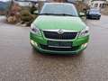 Skoda Fabia Ambiente Elegance 1,6 TDI Sitzh. Mittelarmlehne Grün - thumbnail 8