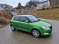 Skoda Fabia Ambiente Elegance 1,6 TDI Sitzh. Mittelarmlehne Grün - thumbnail 12