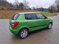 Skoda Fabia Ambiente Elegance 1,6 TDI Sitzh. Mittelarmlehne Grün - thumbnail 17