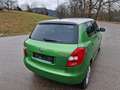 Skoda Fabia Ambiente Elegance 1,6 TDI Sitzh. Mittelarmlehne Grün - thumbnail 19
