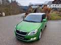 Skoda Fabia Ambiente Elegance 1,6 TDI Sitzh. Mittelarmlehne Grün - thumbnail 29