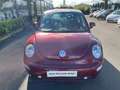 Volkswagen Beetle 2.0 Burdeos - thumbnail 7