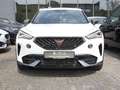 CUPRA Formentor 2.0 TSI VZ 4Drive NAVI PANO KAMERA Weiß - thumbnail 7