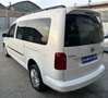 Volkswagen Caddy Maxi 4Motion 2.0 TDI 150 CV DSG  5-Posti (NOO N1) Bianco - thumbnail 3