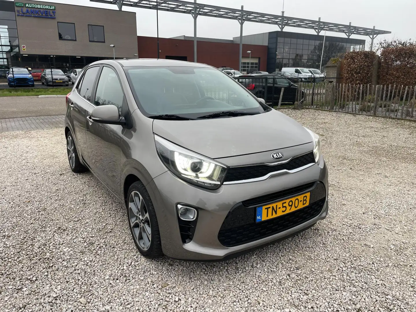 Kia Picanto 1.0 CVVT Colour Edition navi, ecc, leder Grijs - 2