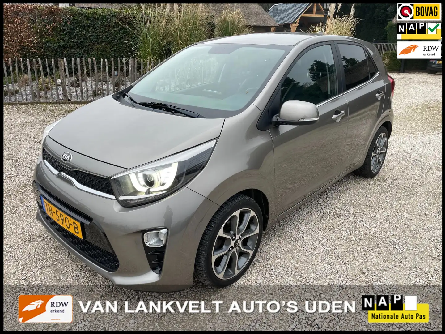 Kia Picanto 1.0 CVVT Colour Edition navi, ecc, leder Grijs - 1