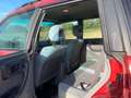 Subaru Forester 2.0 AWD basis |GOED LEZEN| EXPORT| Rood - thumbnail 7