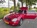 Mercedes-Benz SLK 230 K. Rojo - thumbnail 30