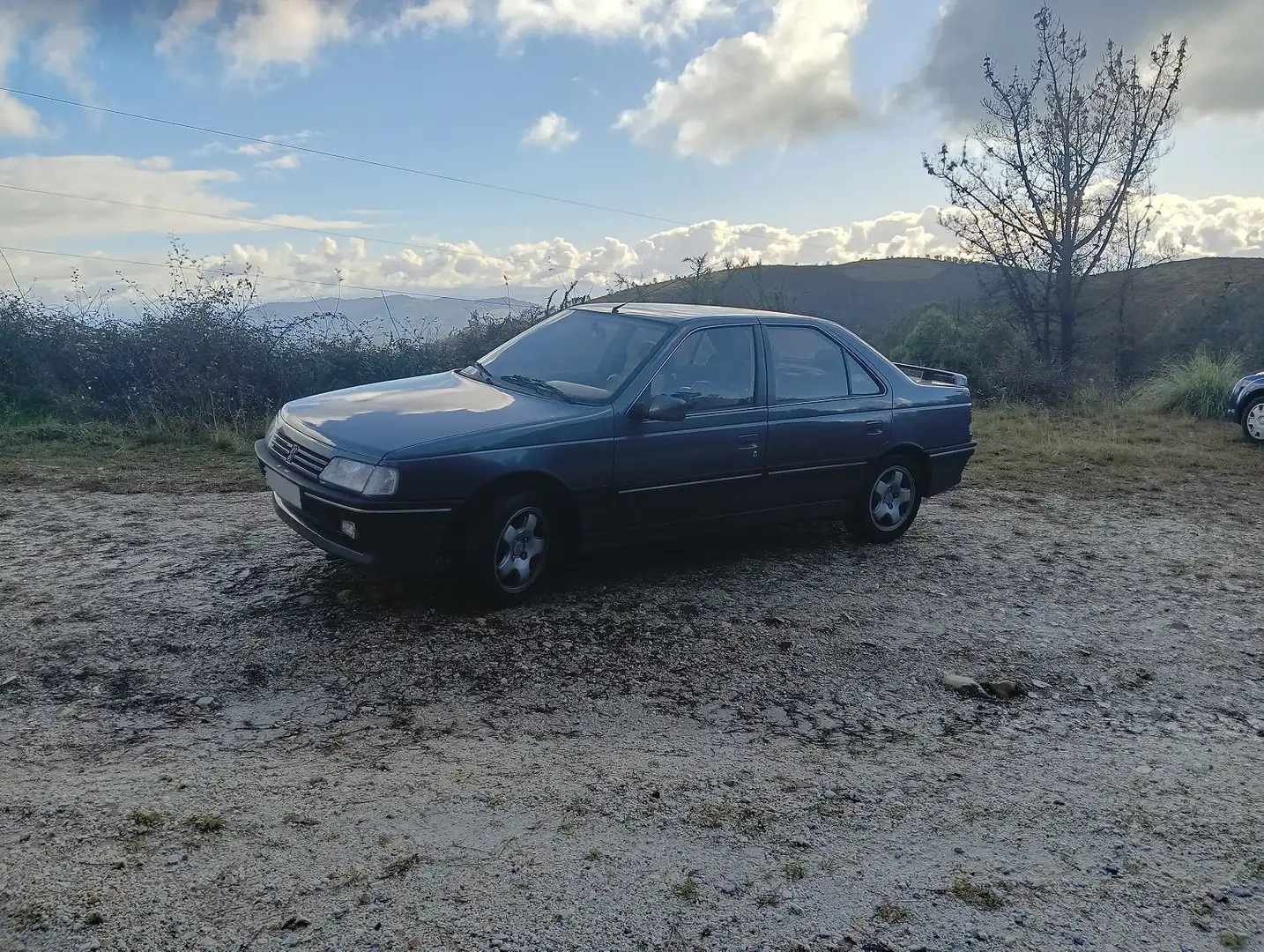 Peugeot 405 1.9 Mi16v Gris - 2