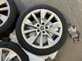 Skoda Octavia Combi 2.0 TDI DSG Scout 4x4/AHK/PANO/ACC Argento - thumbnail 6
