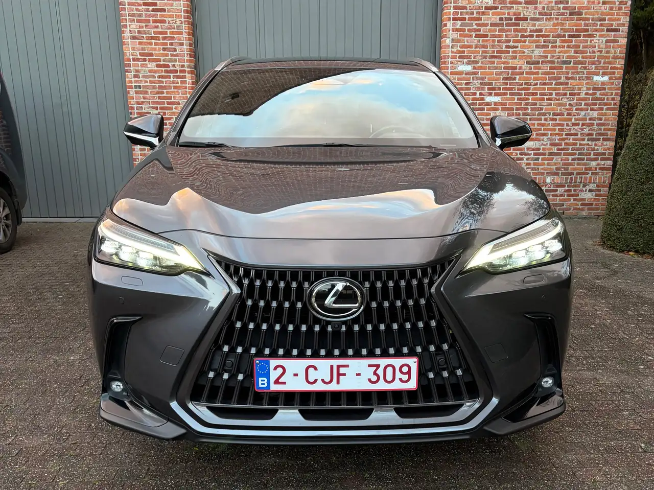 Lexus NX 450h+