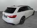 Audi A4 S-Line competition plus 50 TDI quattro Gris - thumbnail 3