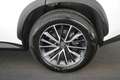 Lexus NX 350h LC HEV Business Line LEDER LED GPS PDC BLIS ACC Blanc - thumbnail 11