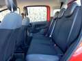 Fiat Panda Panda 1.2 Easy s Rosso - thumbnail 5