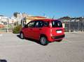 Fiat Panda Panda 1.2 Easy s Rosso - thumbnail 3