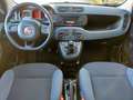 Fiat Panda Panda 1.2 Easy s Rosso - thumbnail 6