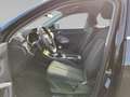 Audi Q3 35 TFSI AHK PDC Business Schwarz - thumbnail 11
