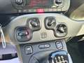 Fiat Panda 1.0 Hybrid City Life*PREZZO REALE, NO VINCOLI* Grigio - thumbnail 13