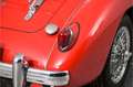 MG A Rouge - thumbnail 34