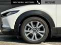 Mazda CX-30 2.0L e-Skyactiv-X M Hybrid 2WD Exceed aut. Weiß - thumbnail 14