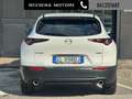 Mazda CX-30 2.0L e-Skyactiv-X M Hybrid 2WD Exceed aut. Weiß - thumbnail 12