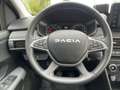 Dacia Sandero Stepway Extreme+ TCe 110 Grau - thumbnail 11