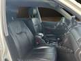 SsangYong Rexton REXTON Weiß - thumbnail 10