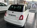 Fiat 500 1.0 Hybrid - Pack Style e Comfort - Tetto Bicolore Wit - thumbnail 6