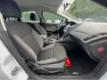 Ford Focus *1.0-EcoBoost*1-PROPRIETAIRE*CLIMATISATION*USB* Blanc - thumbnail 30