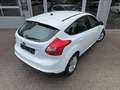 Ford Focus *1.0-EcoBoost*1-PROPRIETAIRE*CLIMATISATION*USB* Biały - thumbnail 6