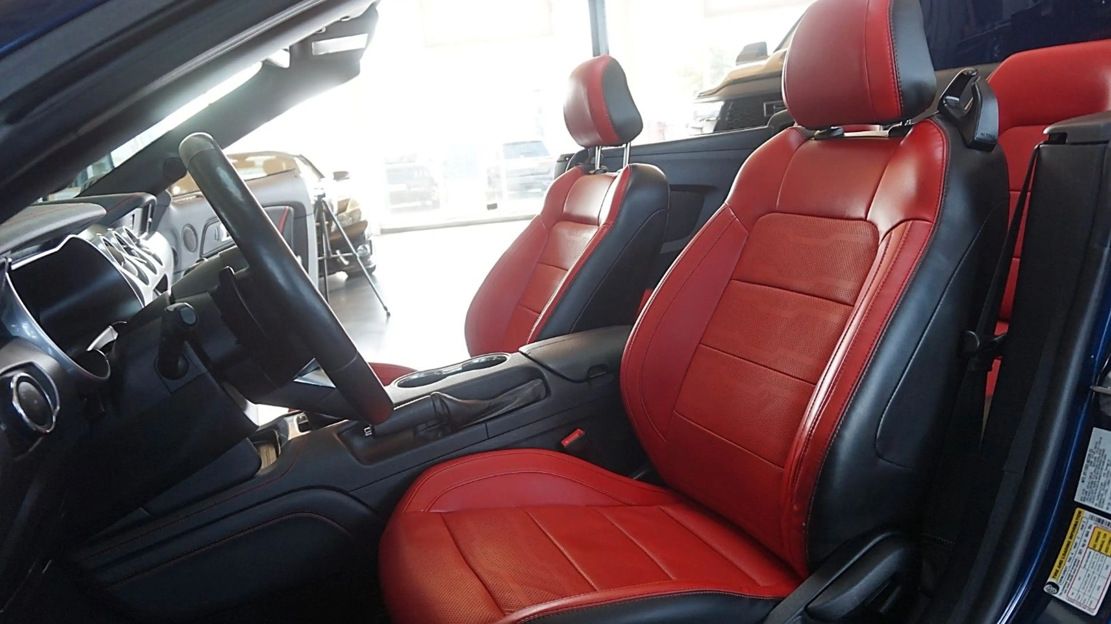 Ford Mustang 5.0  V8 GT  Shelby Cabrio*Digi-Tacho* — photo 14