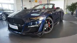 Ford Mustang Eco Boost Shelby Cabrio*Digi*Performance