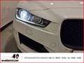 Jaguar XE R-Sport 20d Teilleder+Sitzheizung+Allwetterreifen+ Bílá - thumbnail 16