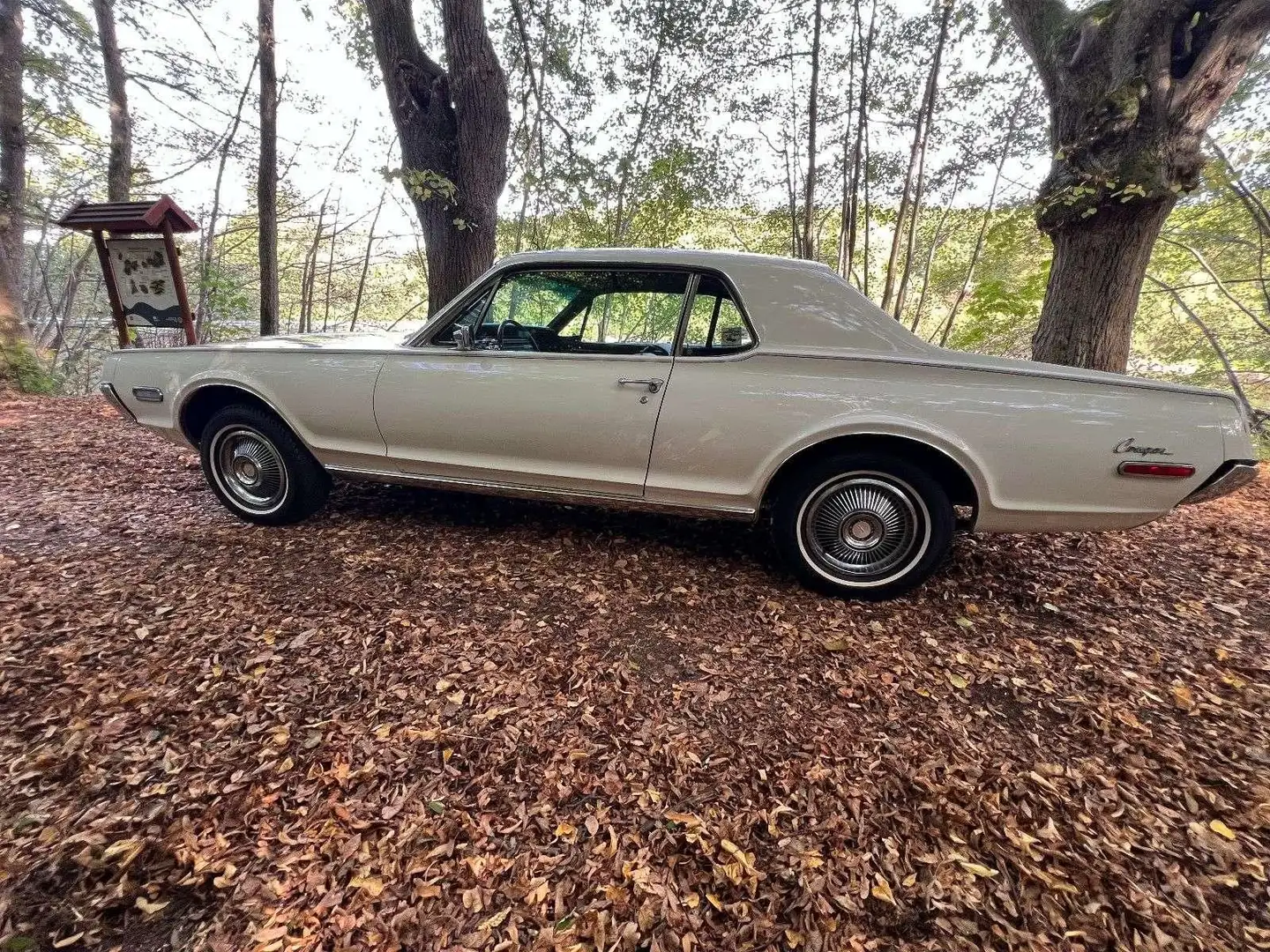 Ford Mercury - Cougar Weiß - 1