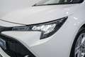 Toyota Corolla 125H Business Blanco - thumbnail 10