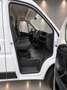 Fiat Ducato Fg. 33 2.2Mjt L2 H2 Panelado 120CV Blanco - thumbnail 5