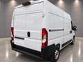 Fiat Ducato Fg. 33 2.2Mjt L2 H2 Panelado 120CV Blanco - thumbnail 7