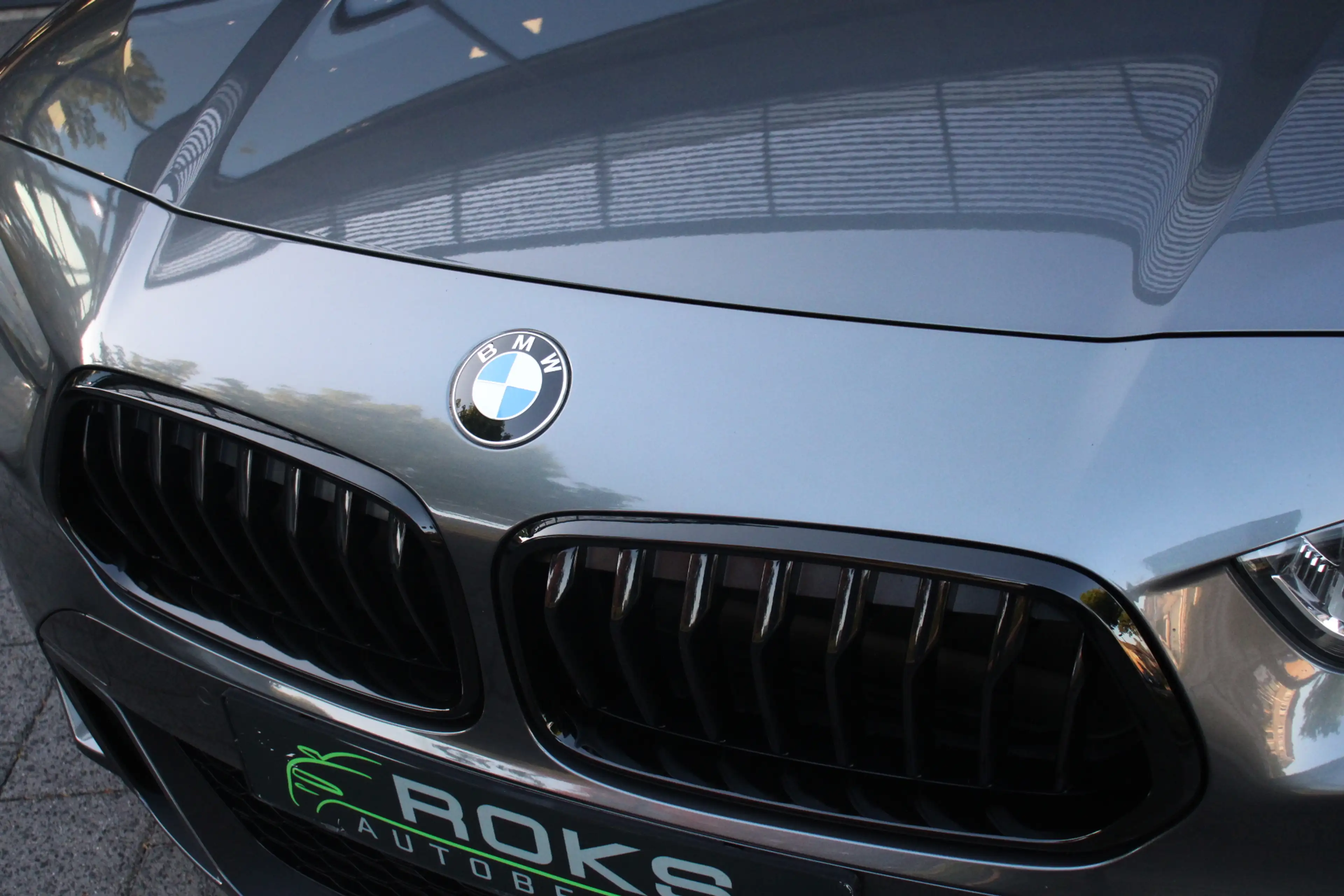 BMW X2 sDrive20i High Executive M-Sportpakket — photo 15