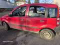 Fiat Panda 1.1 Active Rot - thumbnail 5