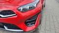 Kia Ceed SW / cee'd SW Sportswagon GT Line Line*LED*Navi*Shzg*PDC*Cam*... Rot - thumbnail 21
