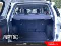 Ford EcoSport EcoSport 1.5 tdci Titanium S 95cv Weiß - thumbnail 24