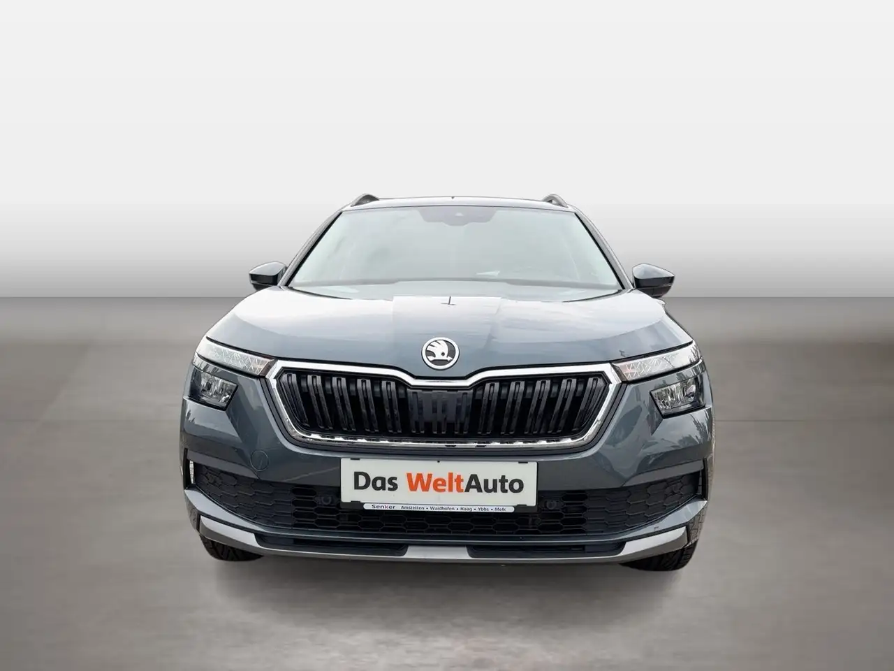 Skoda Kamiq Style TSI, миниатюра 8