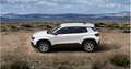 Jeep Avenger e-Hybrid Altitude/Kamera/Shzg. Wit - thumbnail 3