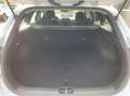Kia Ceed / cee'd Weiß - thumbnail 6