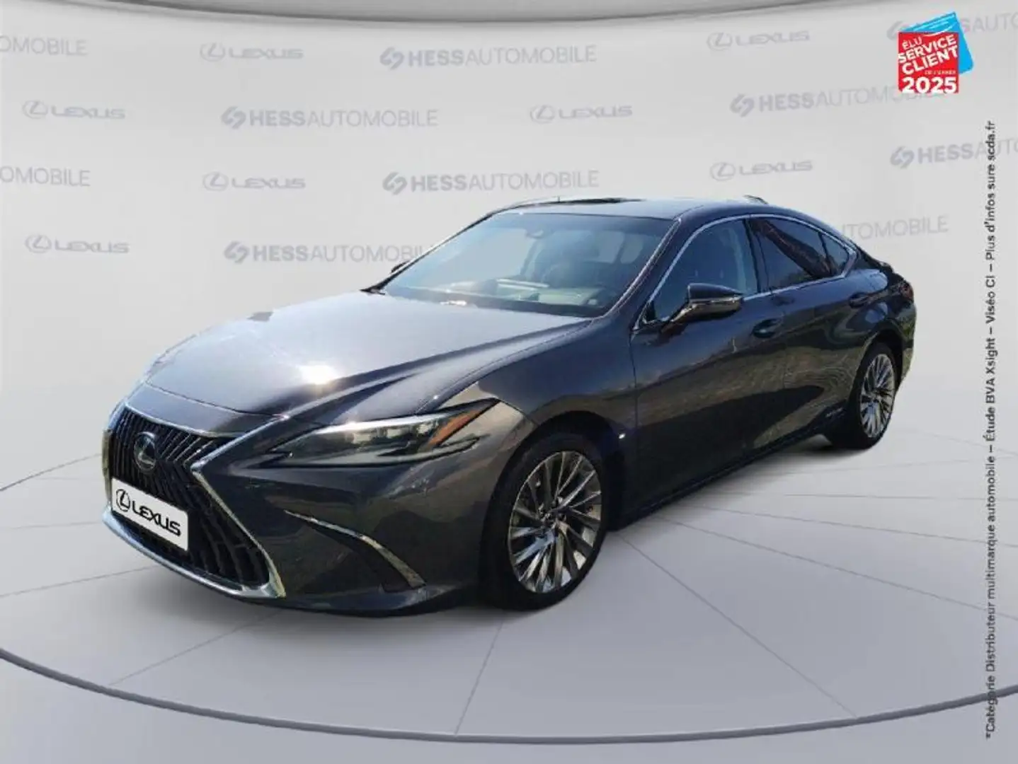 Lexus ES 300 300h Executive TOuvrant Camera GPS siva - 1